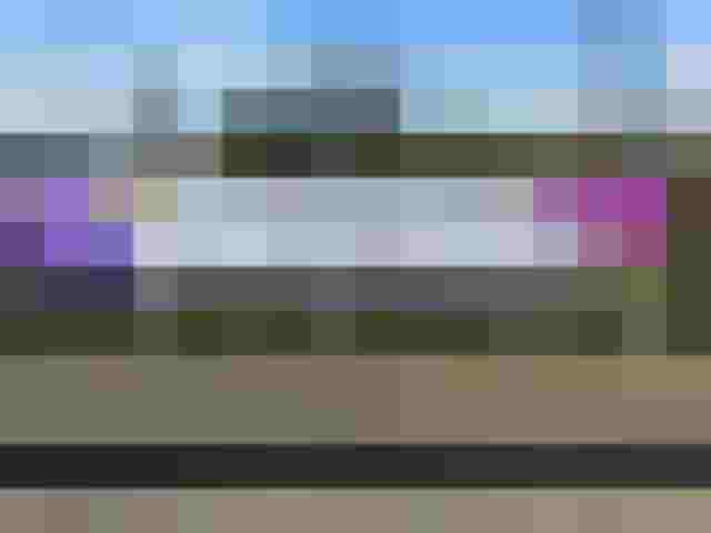 Wiener Orchideengesellschaft - Orchideen sind unsere Leidenschaft …