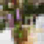 Orchideenausstellung