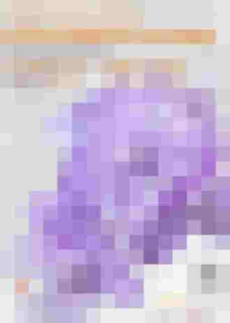 Plakat der Internationalen Orchideenschau 2026 mit violetten Orchideen