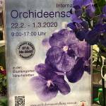 Wiener Orchideengesellschaft - Orchideen sind unsere Leidenschaft …