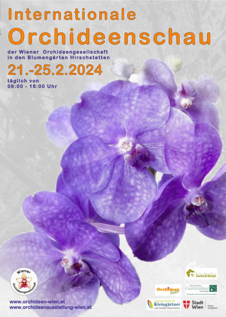 Besuchen Sie uns während der Internationalen Orchideenschau in den Blumengärten Hirschstetten - Wir freuen uns auf Sie!